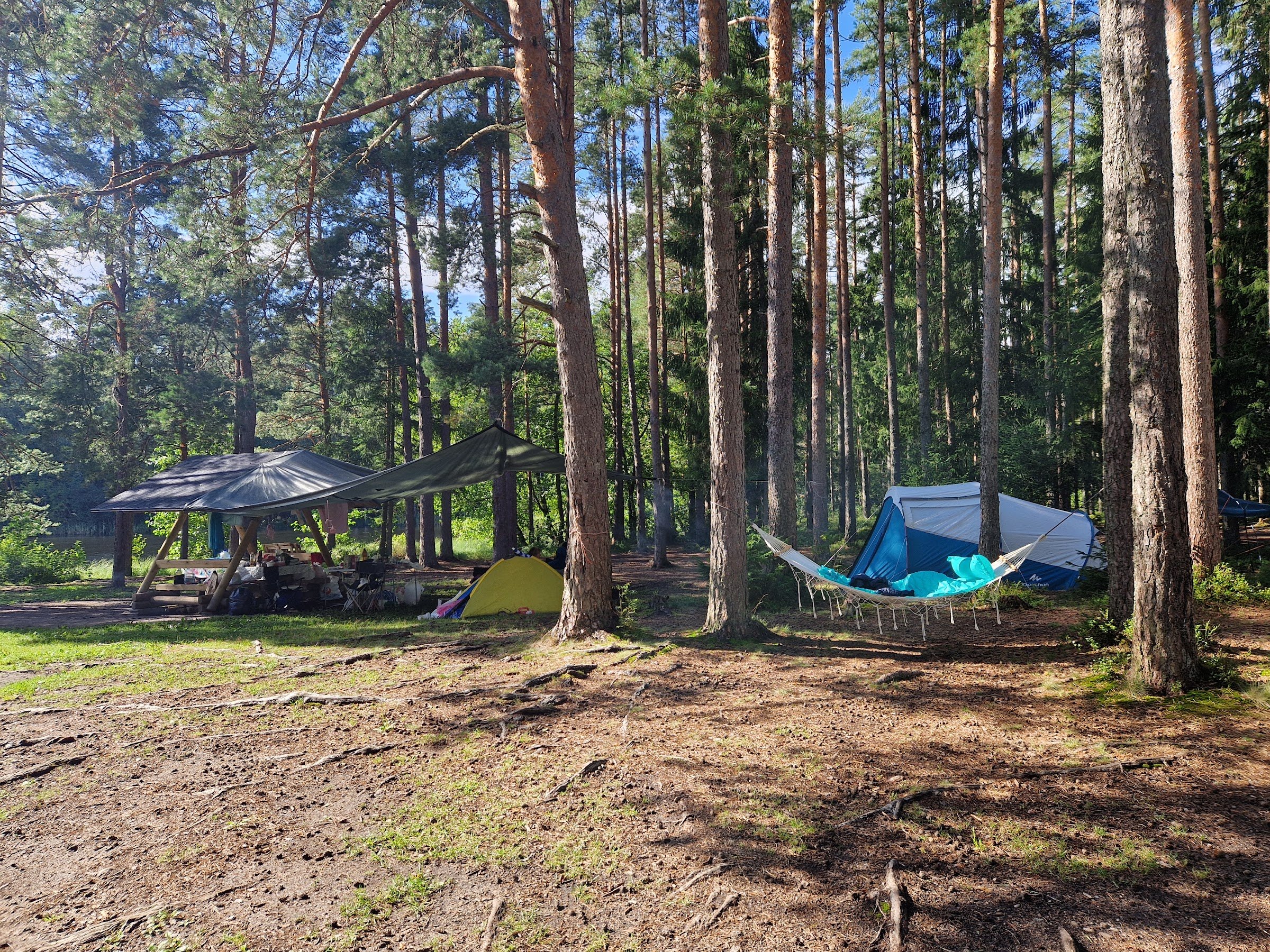 RMK Järvi Pikkjärve telkimisala